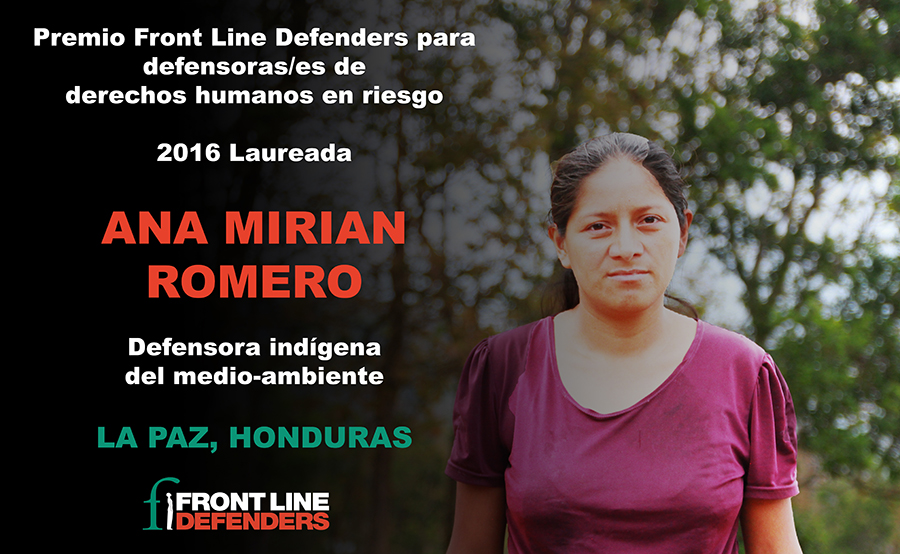 Ana Mirian 2016 Award Winner Graphic_Spanish